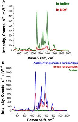 A Combination of Membrane Filtration and Raman-Active DNA Ligand Greatly Enhances Sensitivity of SERS-Based Aptasensors for Influenza A Virus